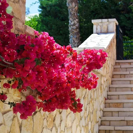 Luxury Corfu Dassia Rose Private Pool 4 Bedrooms 别墅